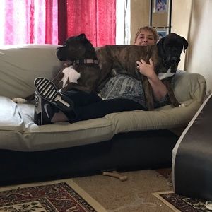 Meet your Posher, Robert